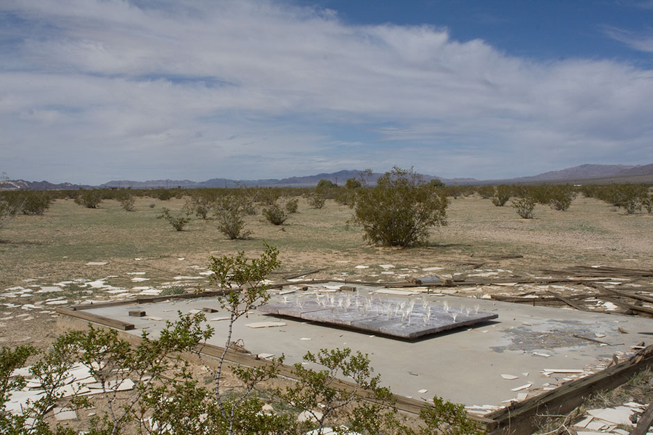 field of miniature trees installed in the desert