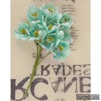 Набор цветов Prima - Lady Bird - Turquoise - ScrapUA.com