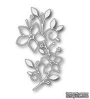 Нож от Memory box -  DIES- Vignette Floral Branch  - ScrapUA.com