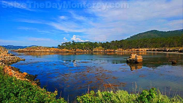 Whaler's Cove at Point Lobos in Big Sur is breathtaking!