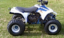 Thumbnail image for Suzuki QuadSport 250 LT250S LT 250S Manual