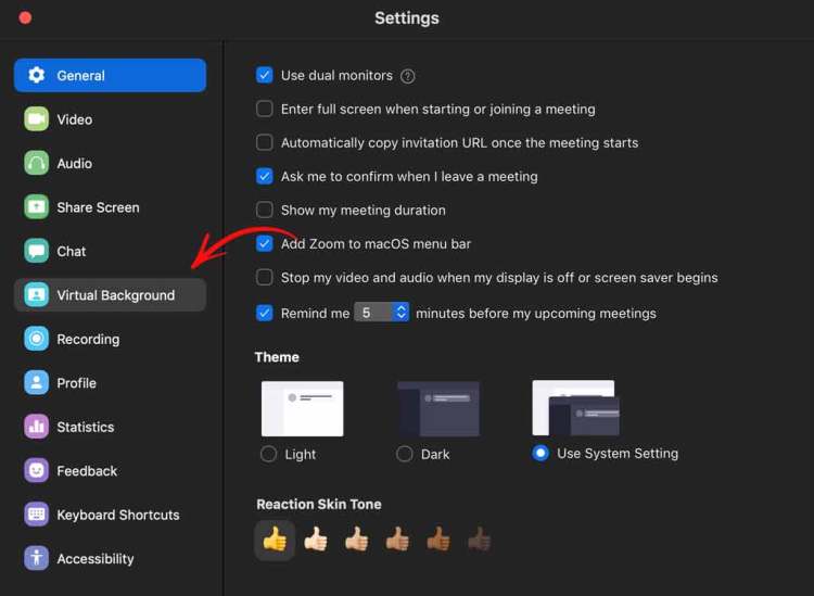 Virtual Background option in Settings