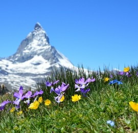 matterhorn-1516734_640