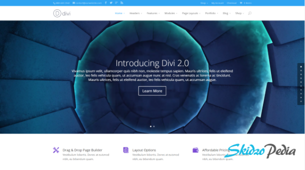 divi wp theme