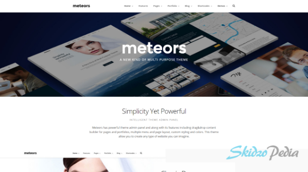 meteors wp theme