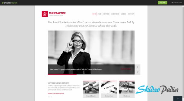 the practise wordpress theme