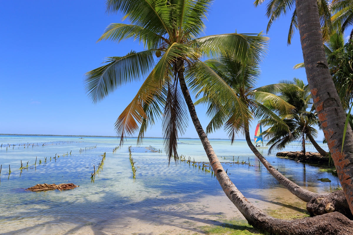 Tarawa