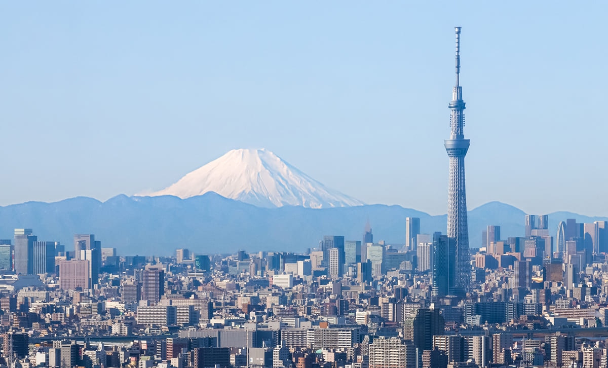 日本 航空券