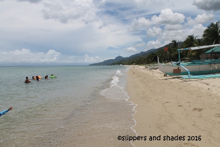 grainy sand makes the water clear... that is in  Laiya in San Juan, Batangas