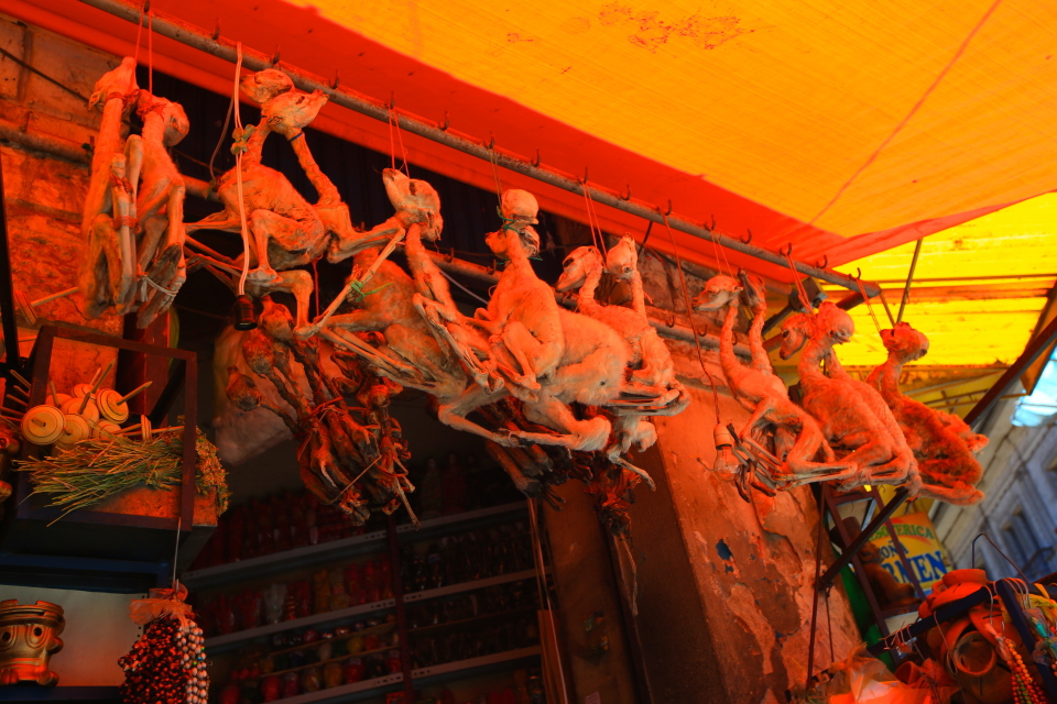 These dried llama foetuses were one of the more bizarre items for sale.