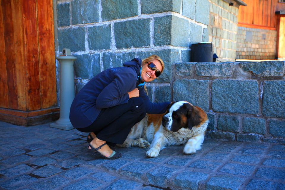 We even saw a St. Bernard!