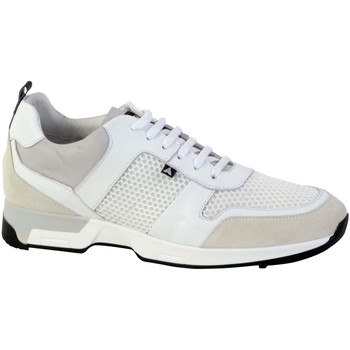 Chaussures Homme Baskets basses Azzaro Basket ROSARIO Gris