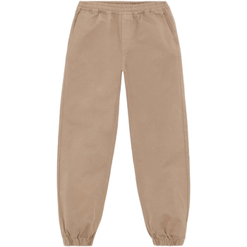 Vêtements Homme Pantalons Iuter Jogger Marron