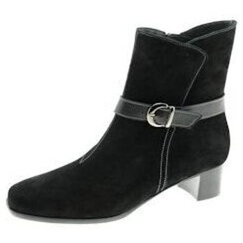 Chaussures Femme Boots Schneider 622-437C Noir