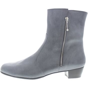 Chaussures Femme Boots Schneider 583-438D Gris