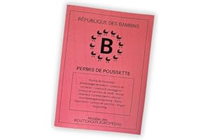 Permis Poussette de la République des Bambins - Cadeau original pour futur papa/maman ou proche