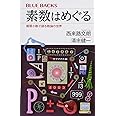 素数はめぐる 循環小数で語る数論の世界 (ブルーバックス 2003)