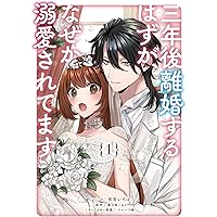 三年後離婚するはずが、なぜか溺愛されてます　1巻 (ZERO-SUMコミックス)