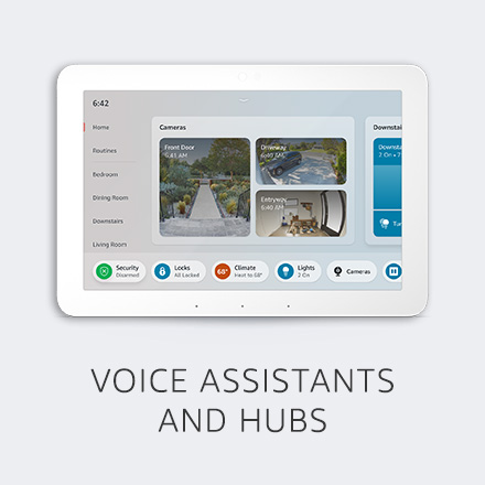 Voice Assistants and Hubs