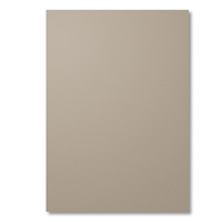 Tip Top Taupe A4 Cardstock