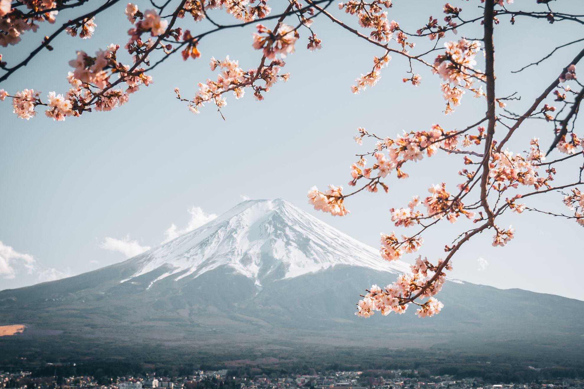 Un vue sur le sommet du mont Fuji au Japon.