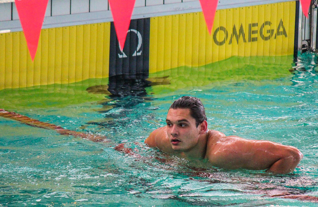 Florent manaudou nageant dans une piscine