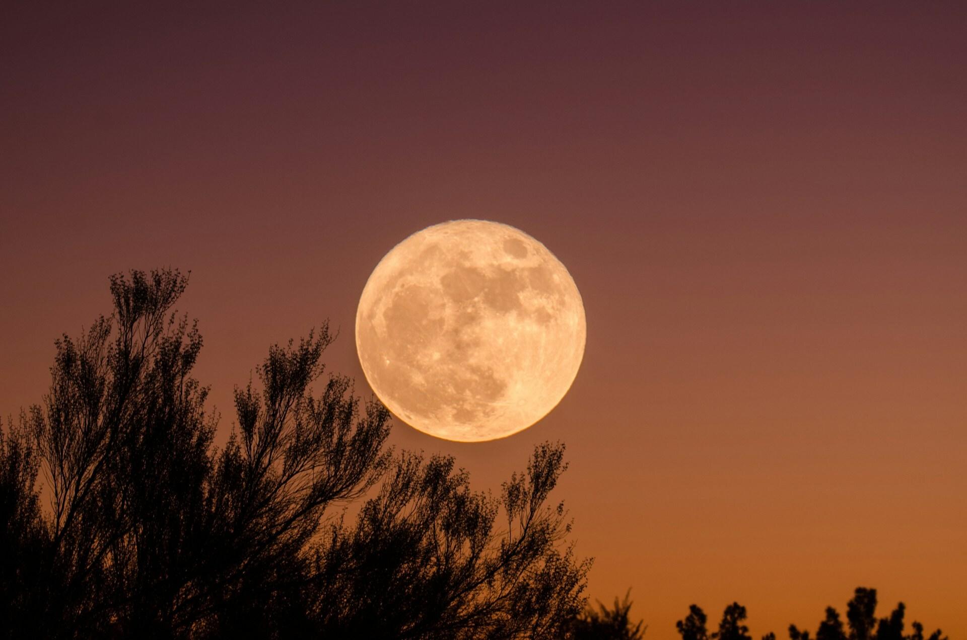 night sky with a full moon