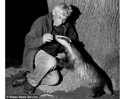 badgerwhisperer