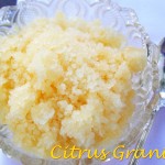 Icy Italian Citrus Granita