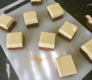 Milo Mud Panna Cotta Slice recipe