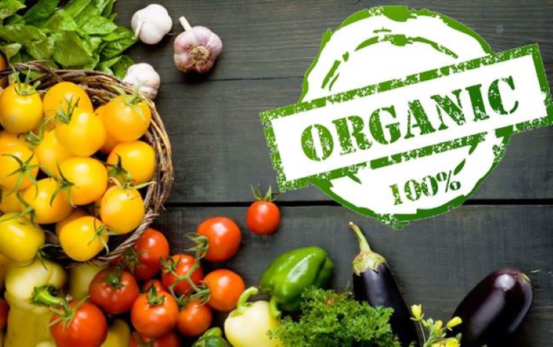 Sản phẩm organic có nhiều loại khác nhau để lựa chọn