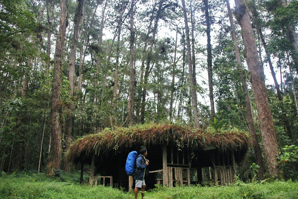 Cinchona Forest Reserve