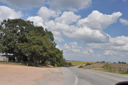 Cat Spring TX Landscape