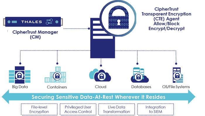 ciphertrust transparent encryption