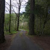 Review photo of Beacon Rock State Park Campground by Richard B., April 30, 2019