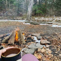 Quaker Area — Allegany State Park State Park