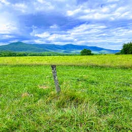 Public Campgrounds: Cades Cove Campground