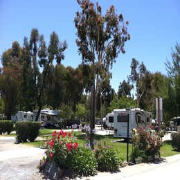 San Diego Metro KOA