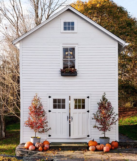 pumpkins-scattered-white-house