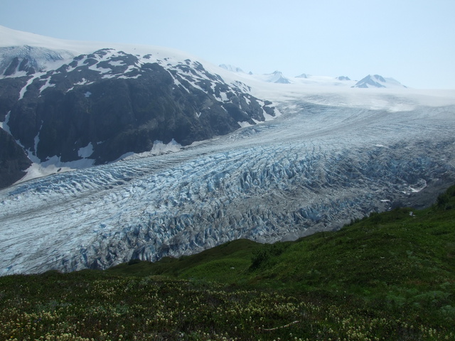 exit glacier 640x480