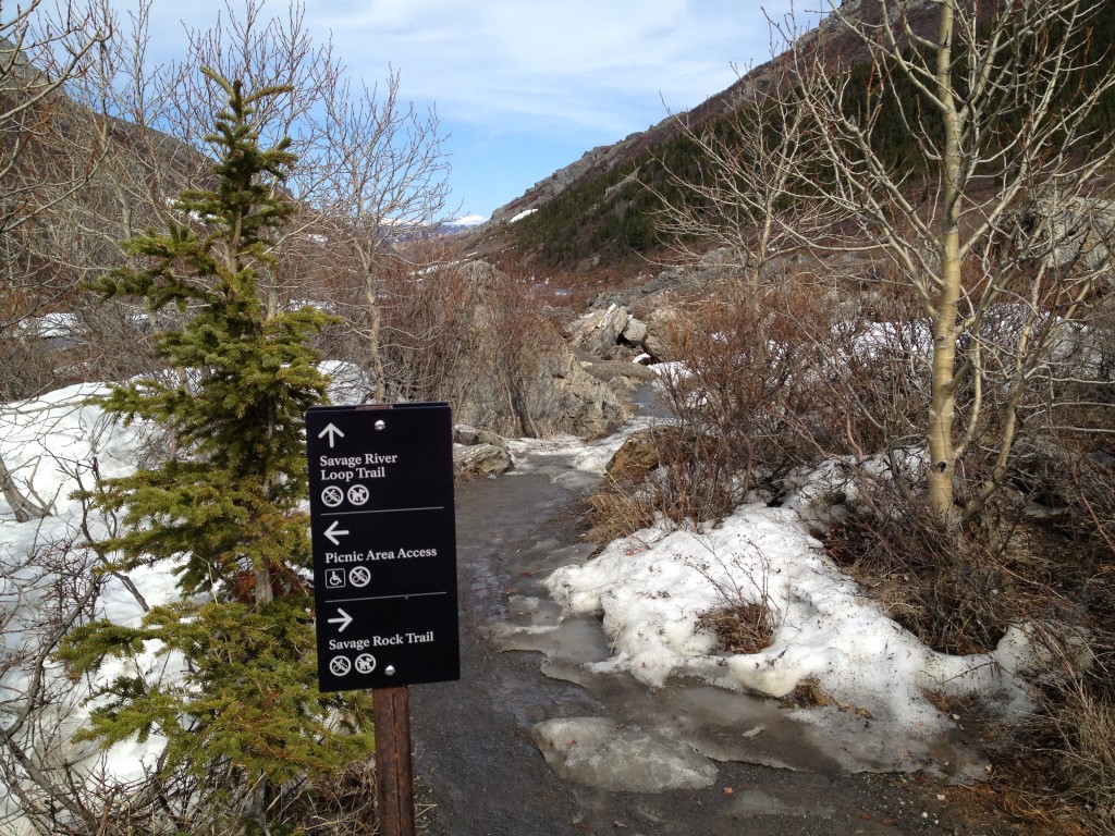 Savage River Trail