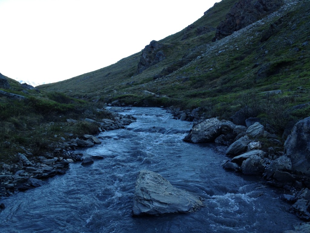 Savage River