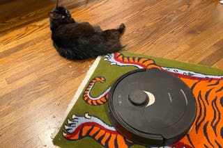 A black cat resting on the floor next to a Roborock robot vacuum.