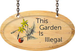 This Garden Is Illegal