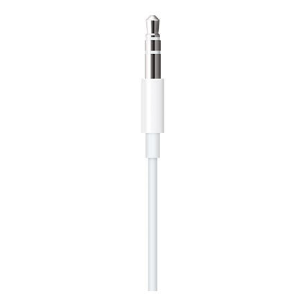 Apple Apple Lightning to 3.5 mm Audio Cable, 4 feet