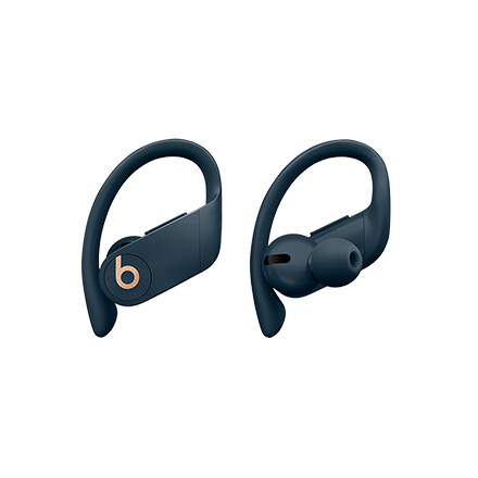 Beats Powerbeats Pro Totally Wireless Earphones