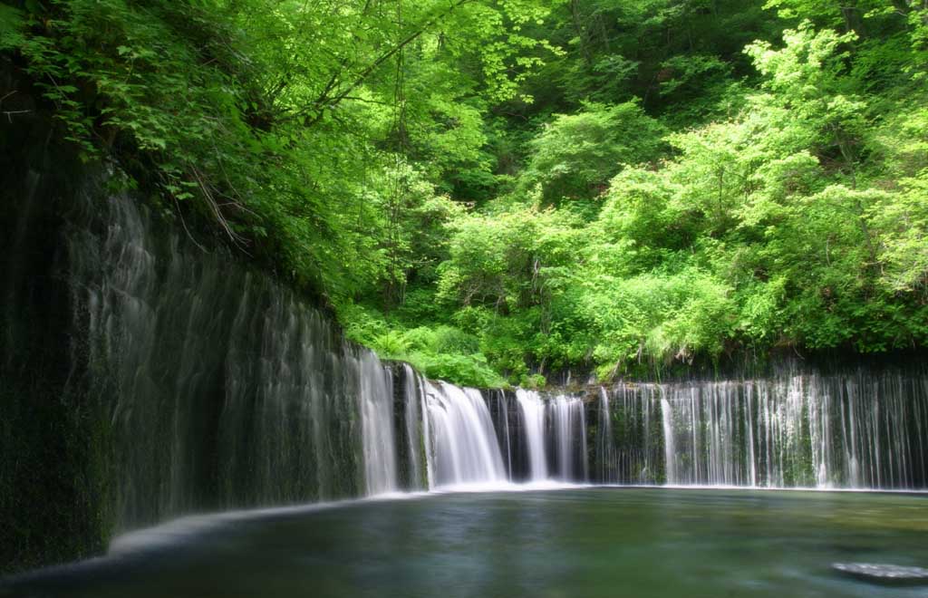 Foto, materiell, befreit, Landschaft, Bild, hat Foto auf Lager,Shiraito-kein-taki, Wasserfall, Strom, zartes Grün, Fluss