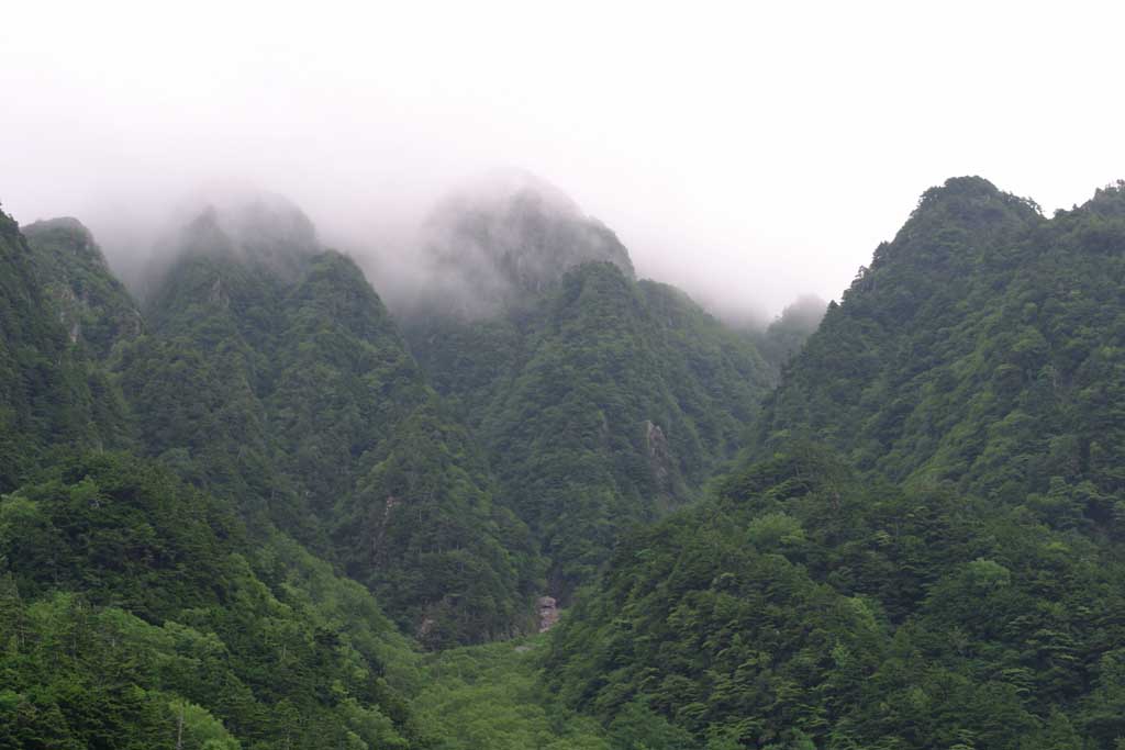 photo, la matière, libre, aménage, décrivez, photo de la réserve,Montagnes qui portent brouillard, brouillard, , nuage, montagne