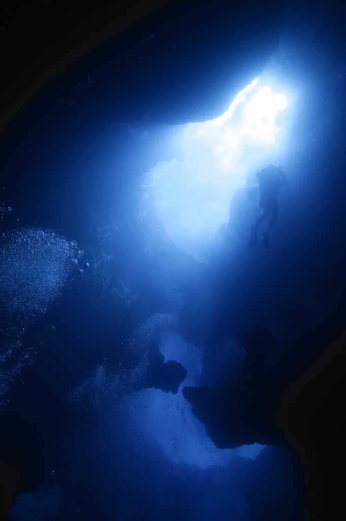 foto,tela,gratis,paisaje,fotografía,idea,Suplicando a la luz., Cueva, Buceo, Mar, Fotografía submarina