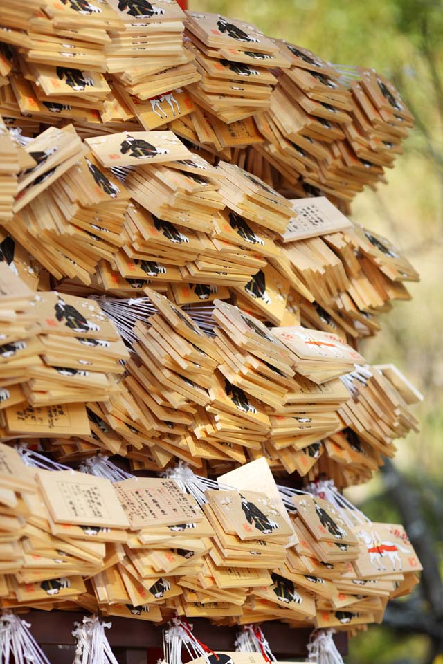 photo, la matière, libre, aménage, décrivez, photo de la réserve,Un comprimé de votive EgaraTenjin-shaShrine, Temple shintoïste, prune, Kamakura, Mettez en colère Tenjin